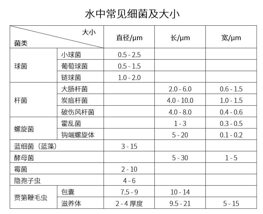 水中常見的細菌及其大小